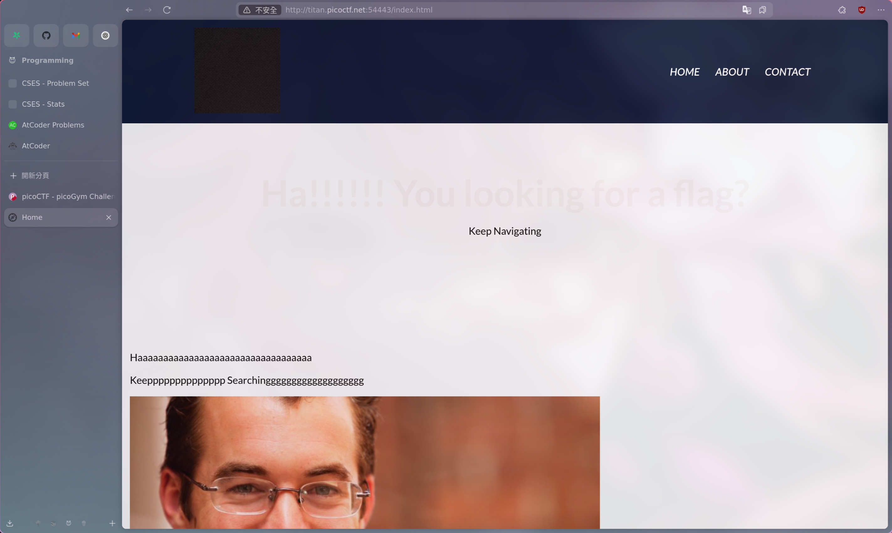 alt text